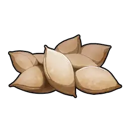 Seed_Tmp