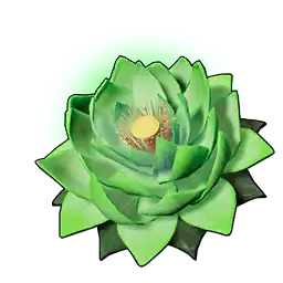 Life Lotus (L)