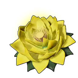 Stamina Lotus (L)