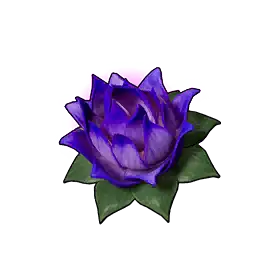 Carrying Lotus (S)