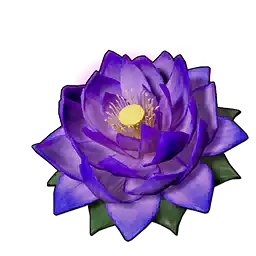 Carrying Lotus (L)
