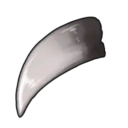 Fang2